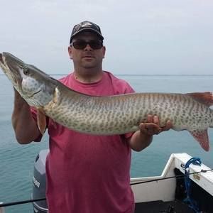 Meet your Posher, Joe